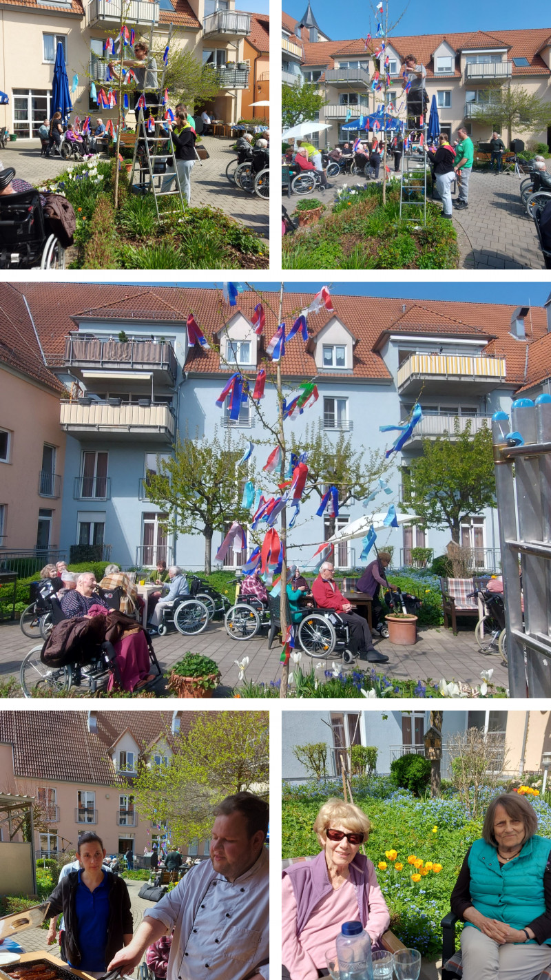 20230427_135335-COLLAGE.jpg