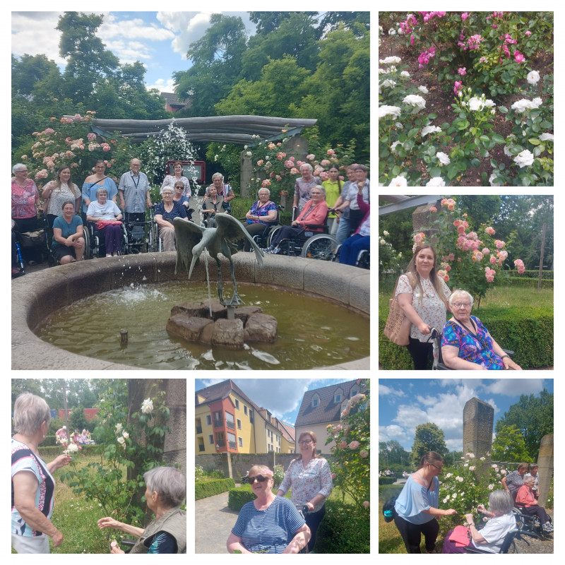 20230615_121710-COLLAGE.jpg
