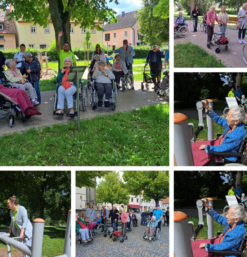 20240613_161217-COLLAGE.jpg