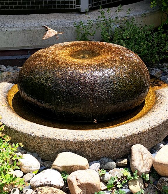 2025 07 31 12 07 51 Greenshot