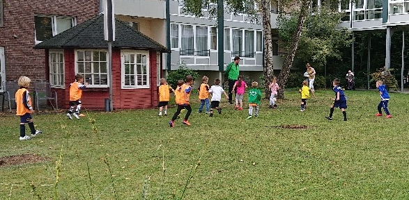 61c88058592ad1640530008.jpg