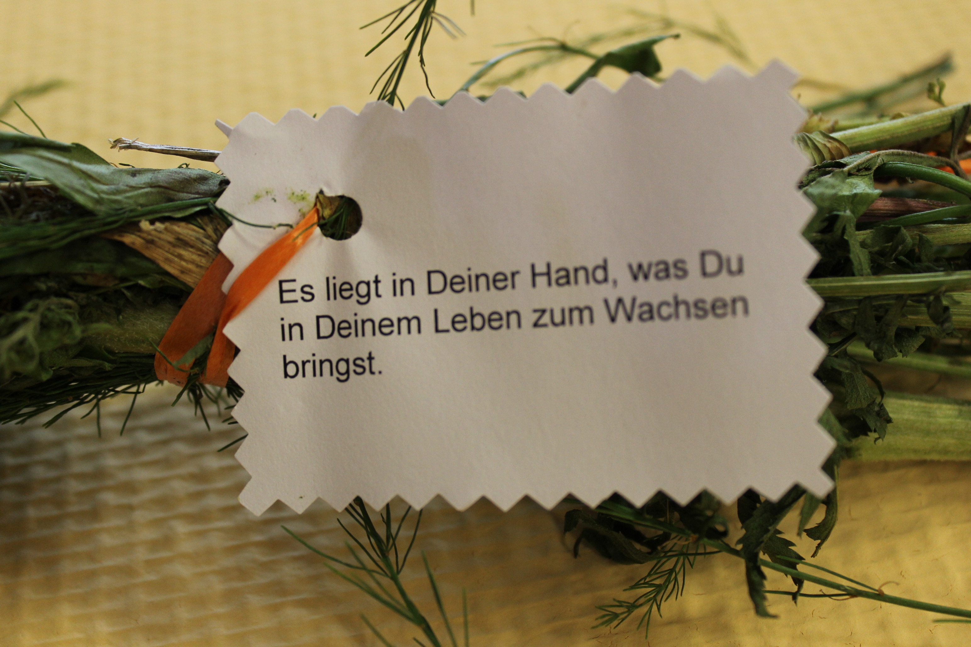 61ddad9db66da1641917853.jpg