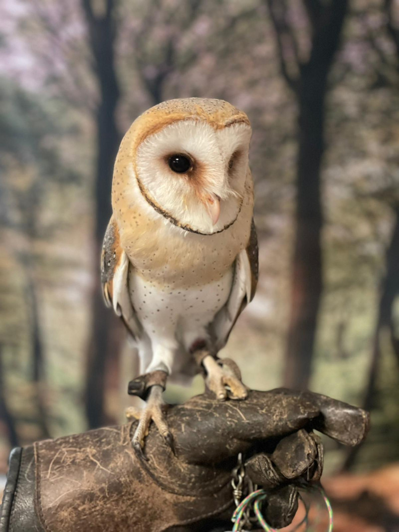 8 1tierischer Besuch