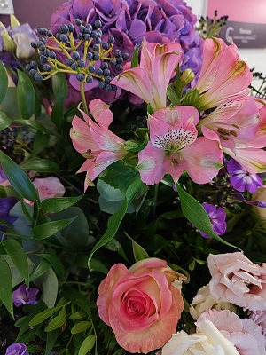 Blume15.jpg