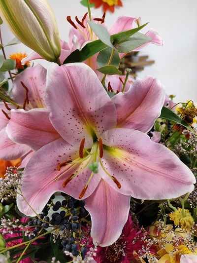 Blume31.jpg