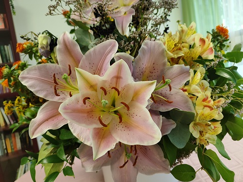 Blume38.jpg
