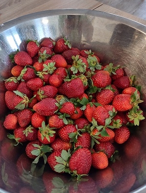 Erdbeeren 1 Hom