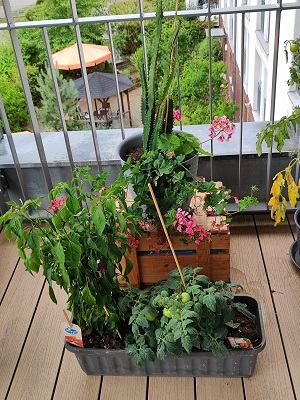 Foto4.jpg