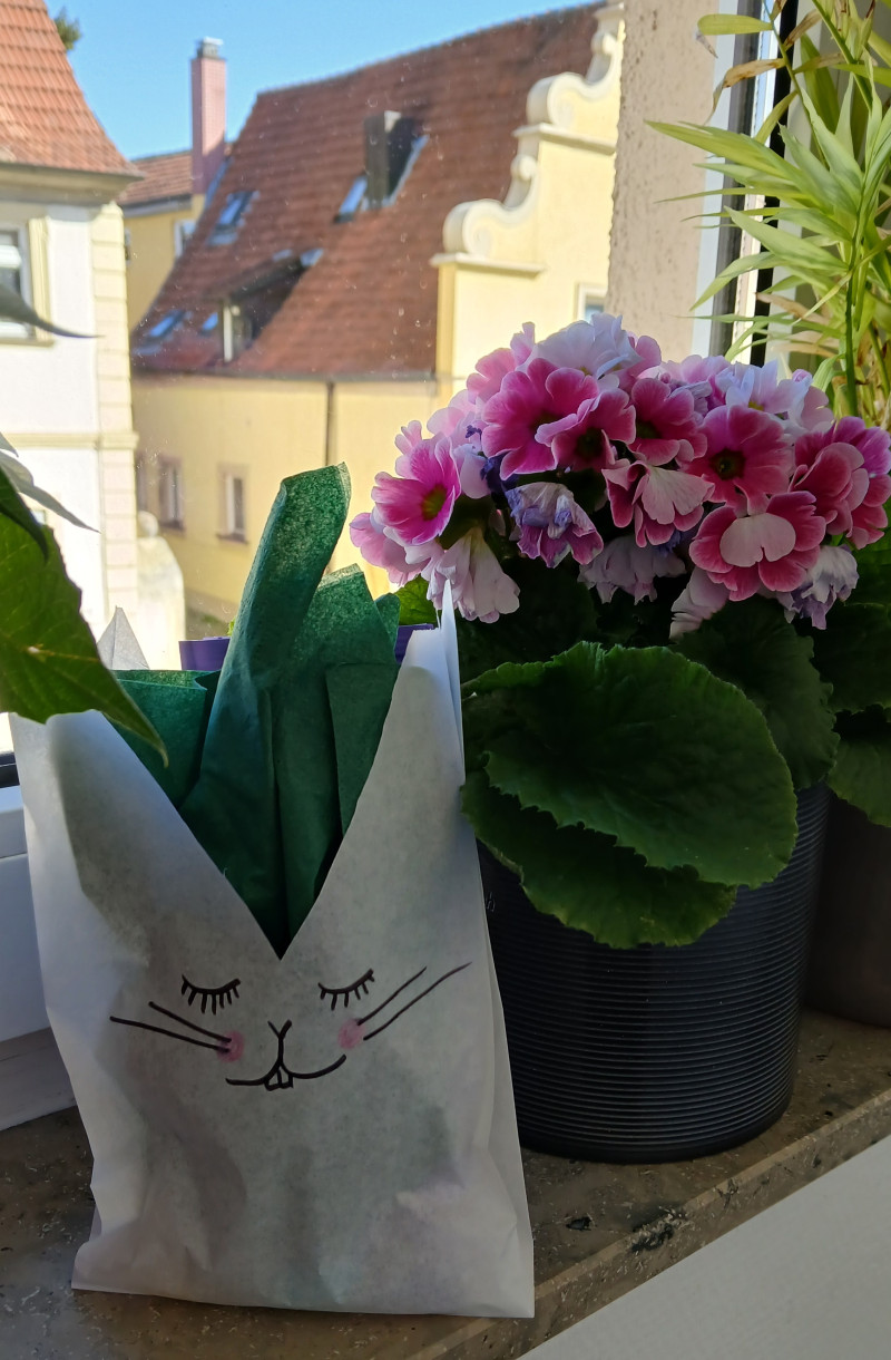 Ostergeschenk zwischen den Blumen.jpg