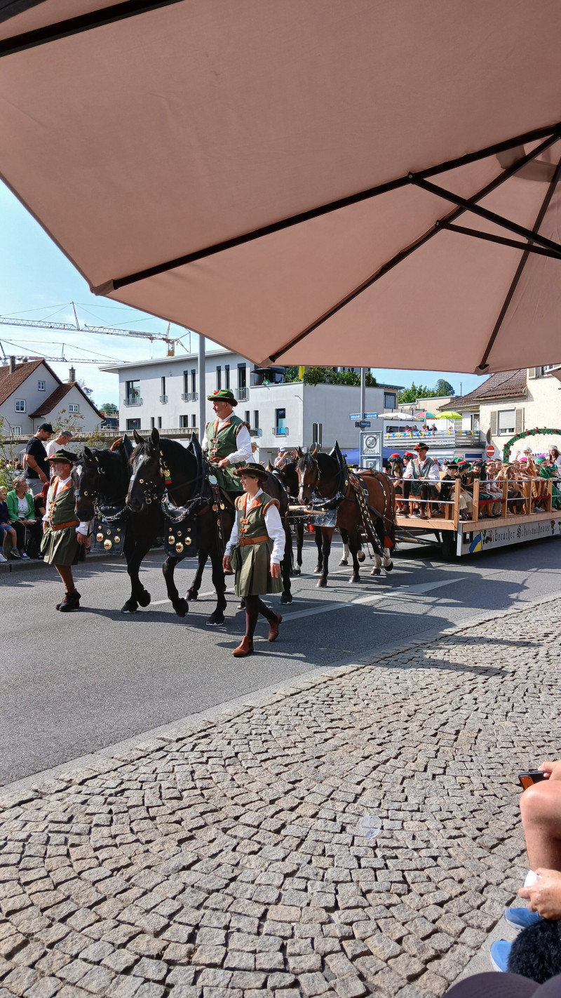 Sch Tzen 1