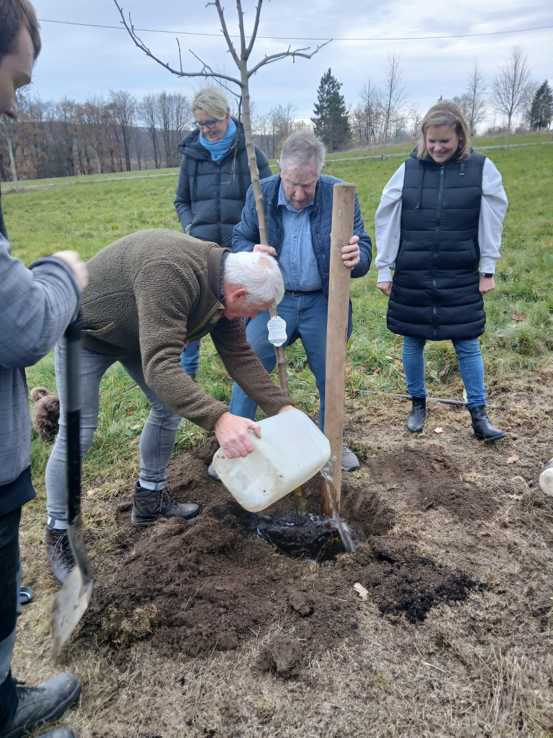Soziales Projekt Baum 2