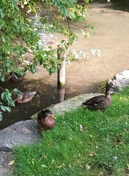 Spaziergang