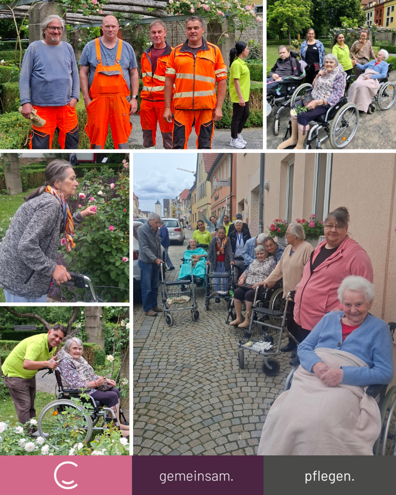 Spaziergang-C.png