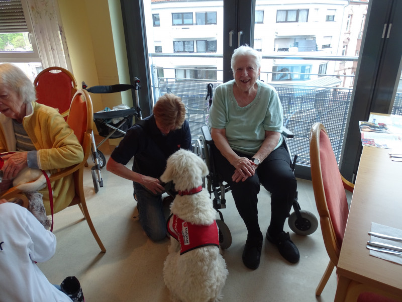Therapiehunde (1).JPG