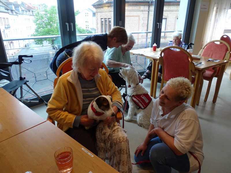 Therapiehunde 2