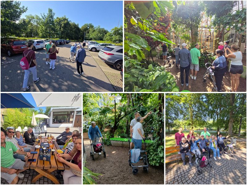 Tiergarten Ulm Collage