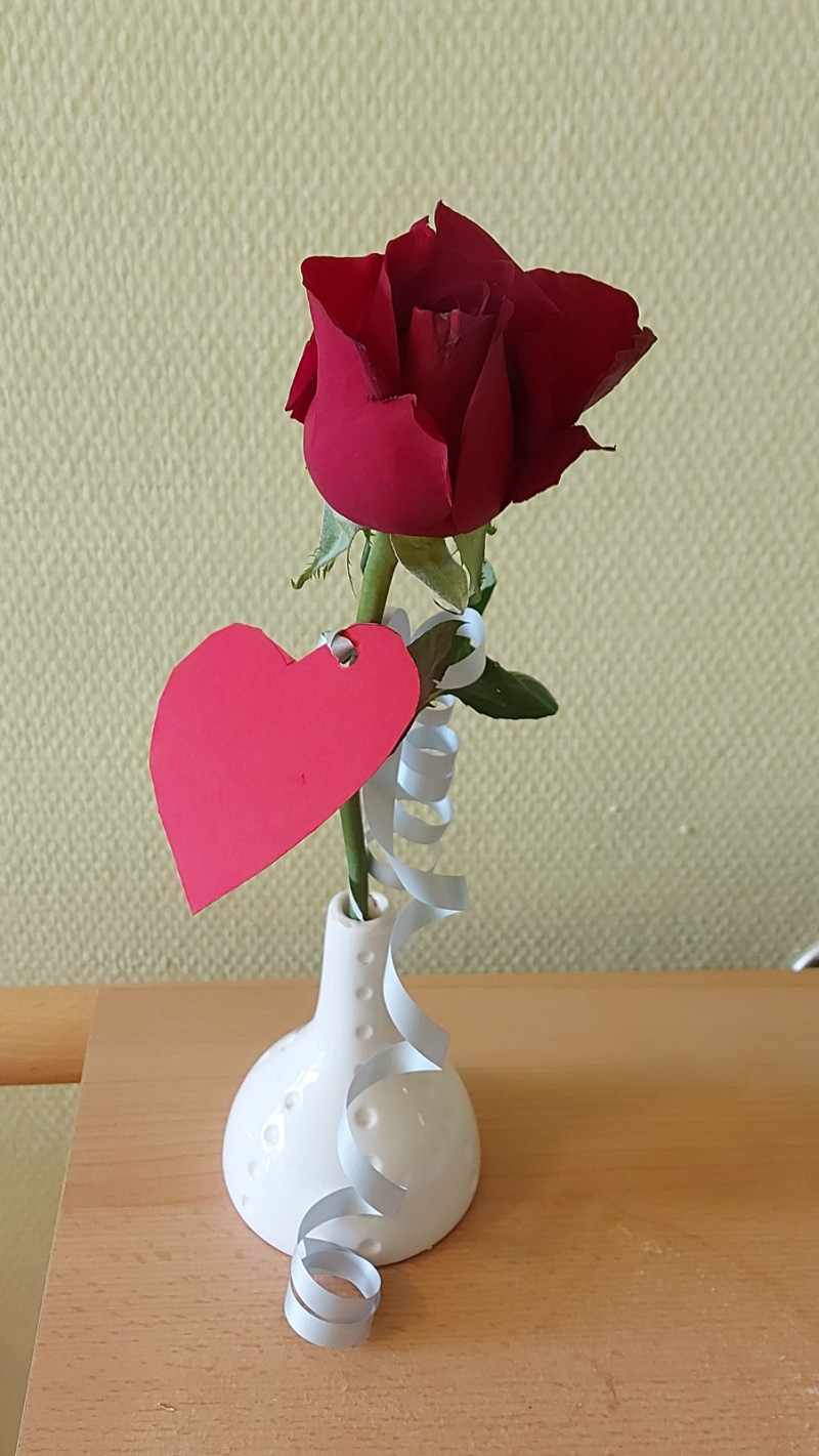 einzelene rose.jpg