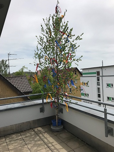 Maibaum